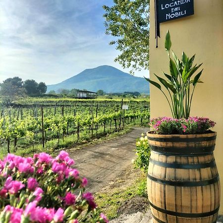 Vesuvio Inn Guest House E Wine Experience Boscotrecase Exterior photo