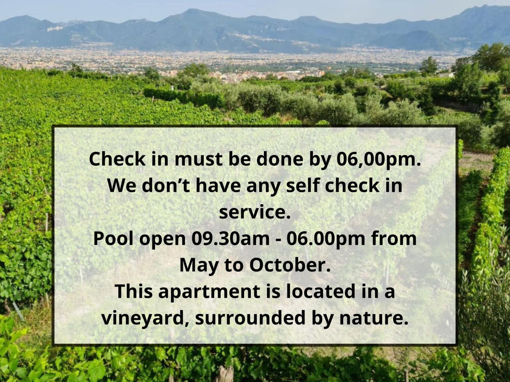 Vesuvio Inn Guest House E Wine Experience Boscotrecase Exterior photo