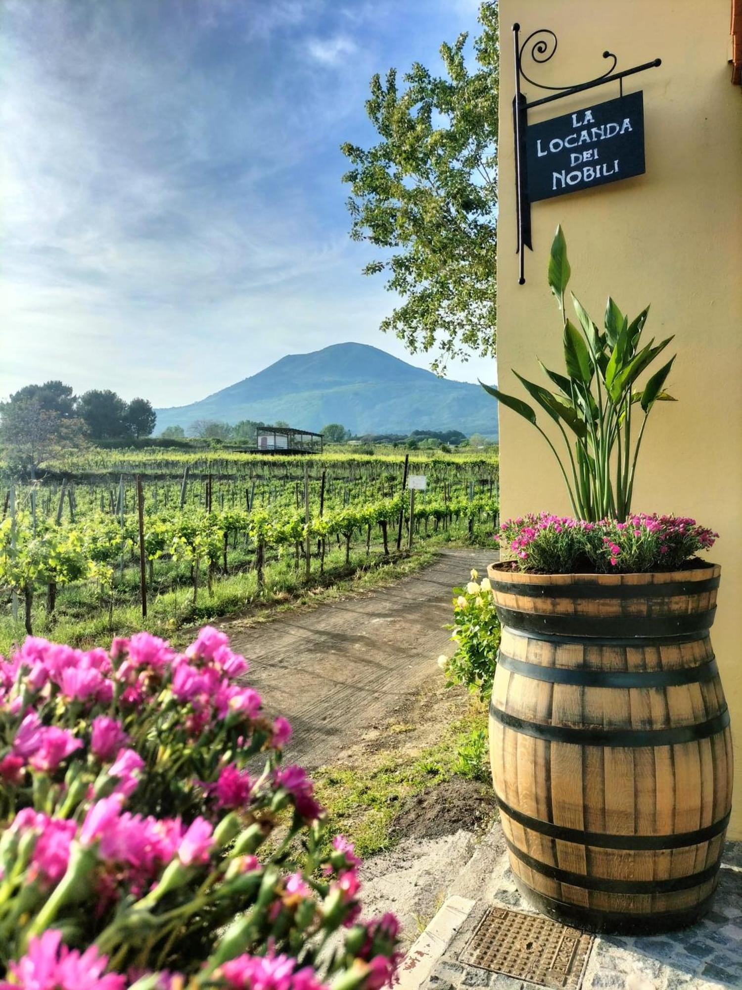 Vesuvio Inn Guest House E Wine Experience Boscotrecase Exterior photo